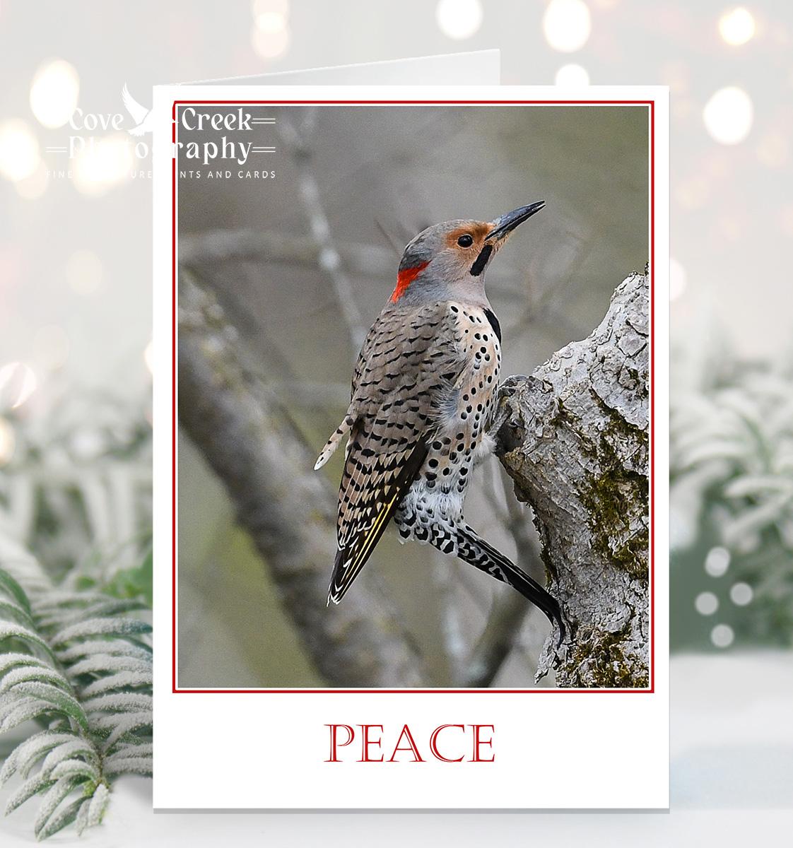 Amale northern flicker is on the front of this nature photography Christmas card with a message of "Peace" and is available at Cove Creek Photography.