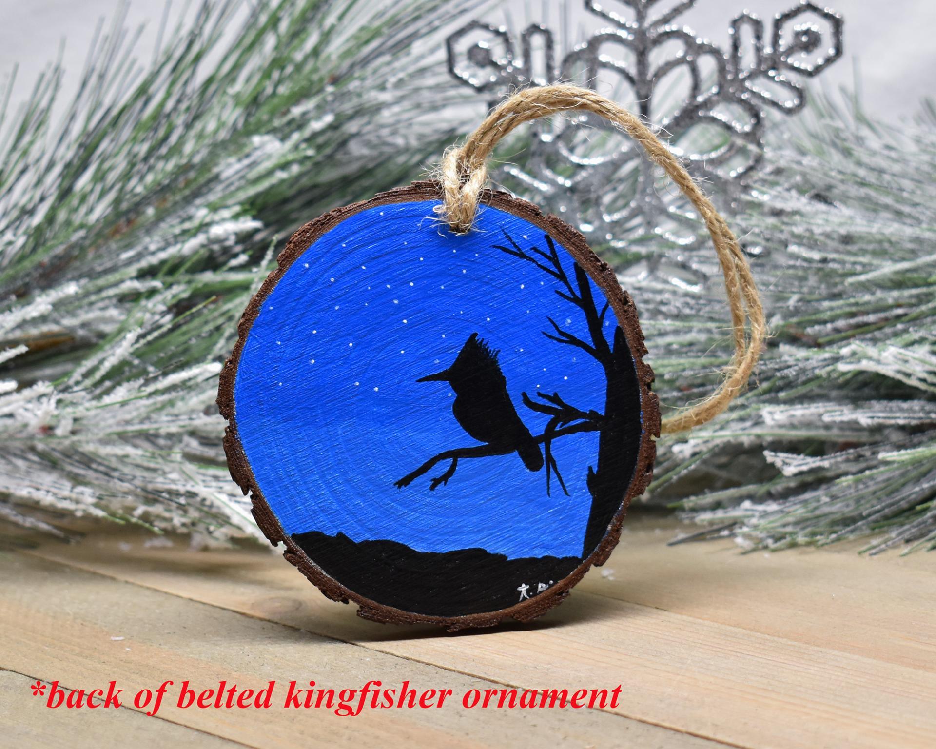 A hand-painted wood slice Christmas ornament with a night sky and a silhouette of a bird at Cove Creek Photograpy.