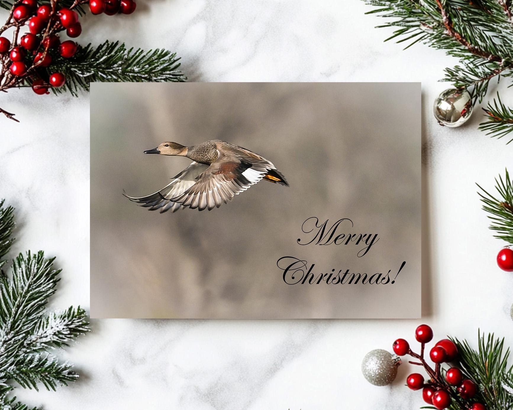 A nature photography holiday greeting card with a gadwall in flight and Merry Christmas at Cove Creek Photography.