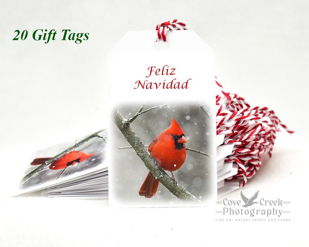 Cardinal in the snow gift tag offered at Cove Creek Photography