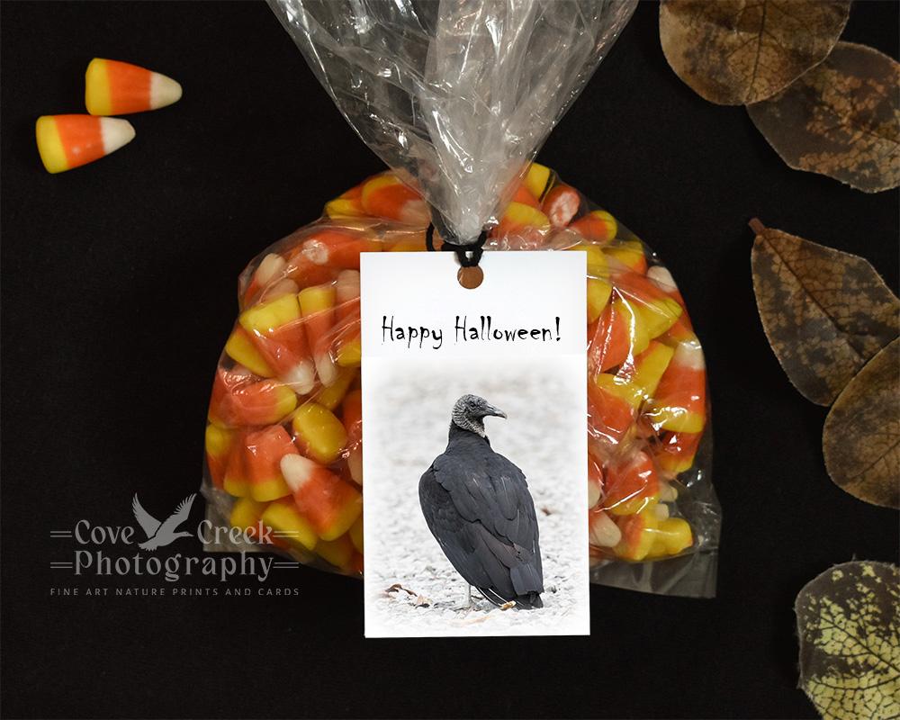 Handmade vulture culture halloween gift bag tags at Cove Creek Photography.