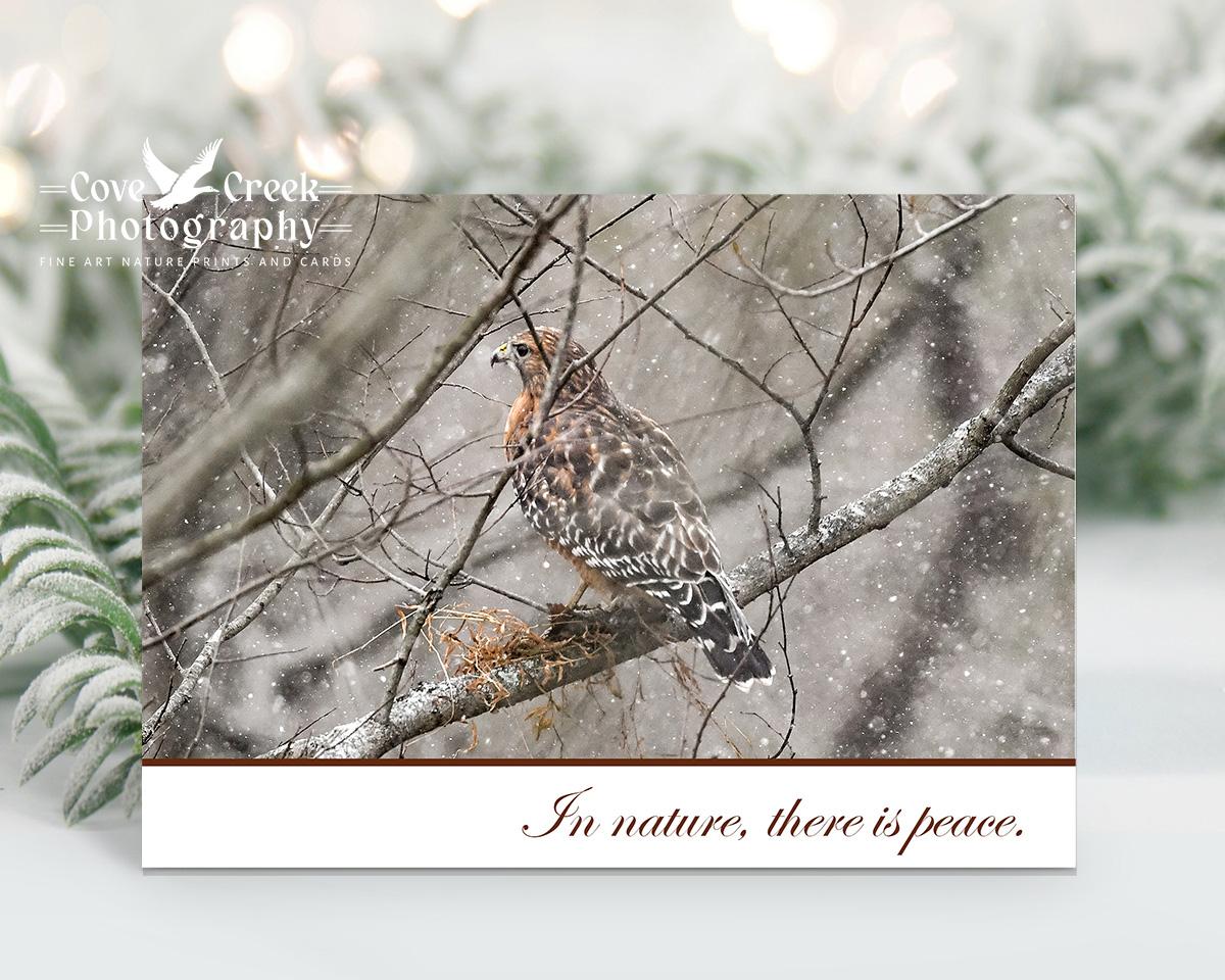 "In nature, there is peace" is the theme of thisboxed set of Christmas cards featuring a red-shouldered hawk in a light snow.  The cards are available at Cove Creek Photography.