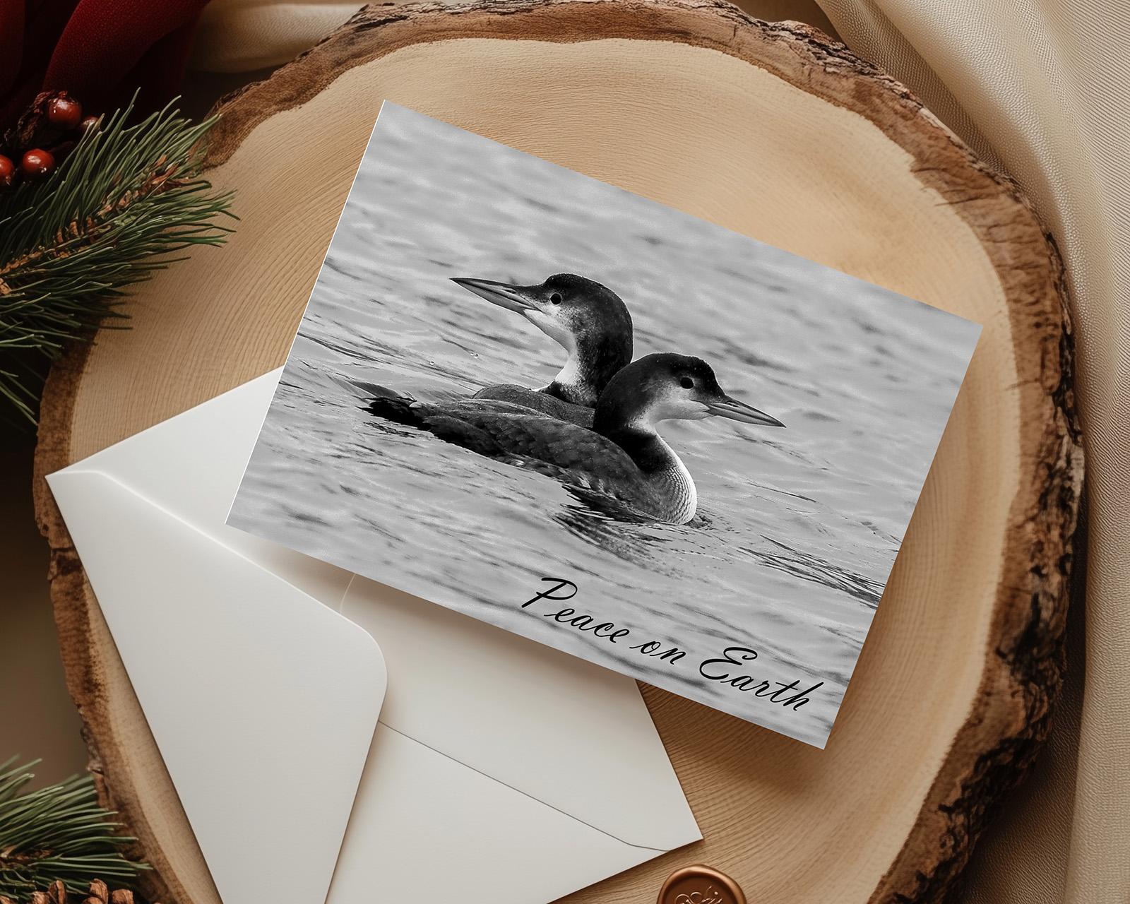 Common loon "Peace on Earth" Christmas cards with black and white photography of two loons at Cove Creek Photography. 