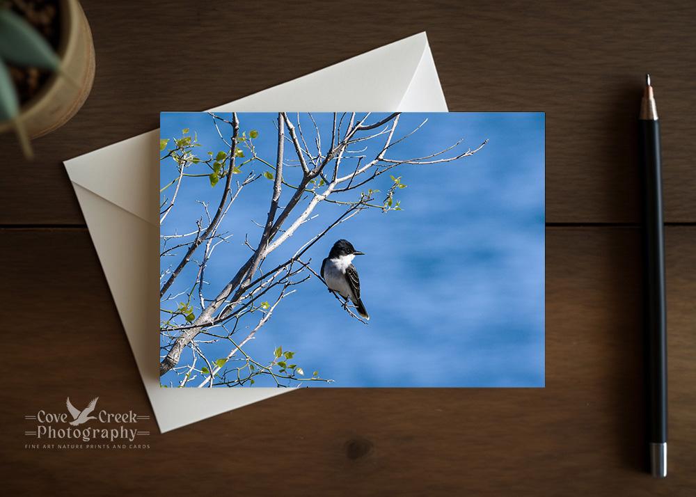 Lakeside nature photography with shades of blue and a tiny bird on a personalized greeting card at covecreekphotography.com.