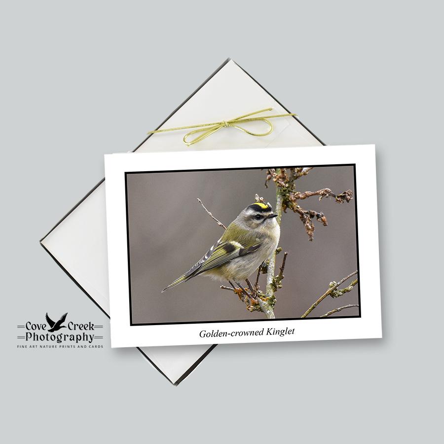 Golden-crowned Kinglet Blank Note Card Set