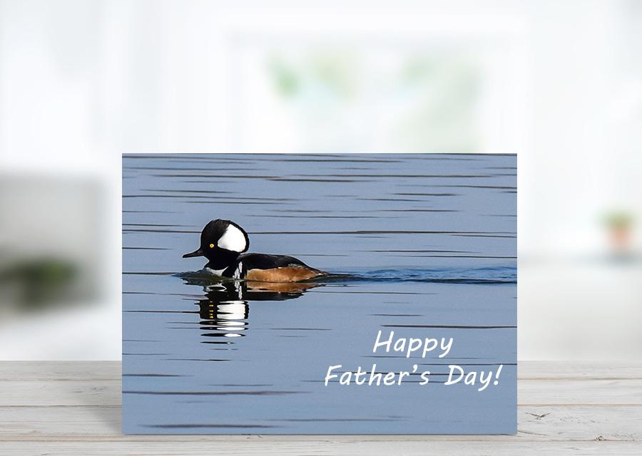 Hooded Merganser Father's Day Card