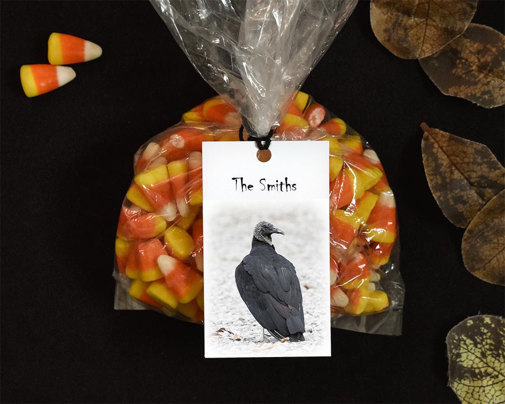 Vulture culture Halloween gift bag tag at Cove Creek Photography.