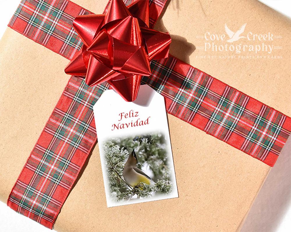 Spanish holiday gift tags with Feliz Navidad and nature photography image of a cedar waxwing.