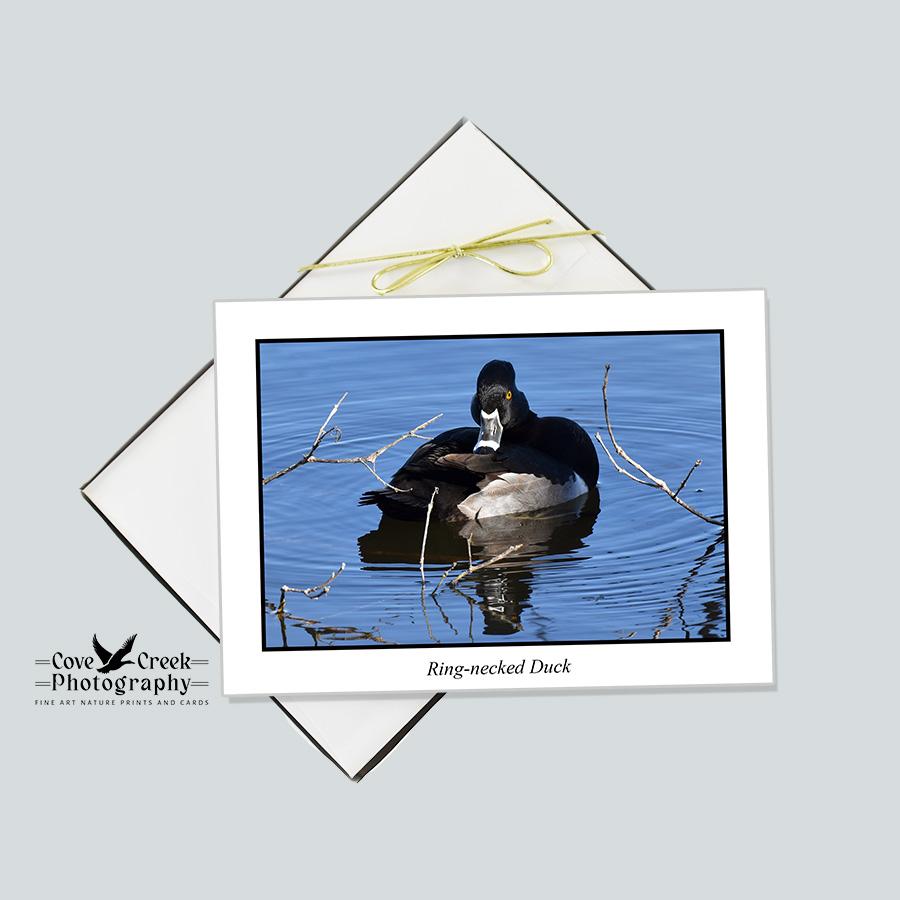 Water Bird Nature Photography Stationery Set of 12 Cards