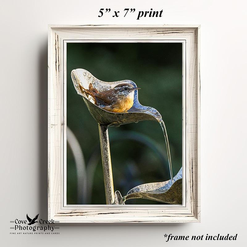 A garden feature with a Carolina wren giclée print available at Cove Creek Photography.