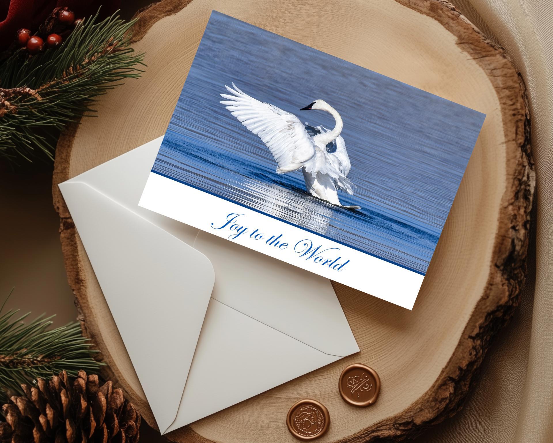 A handmade nature photography holiday card with a trumpeter swan with wings out above blue water and the greeting "Joy to the World" at covecreekphotography.com.