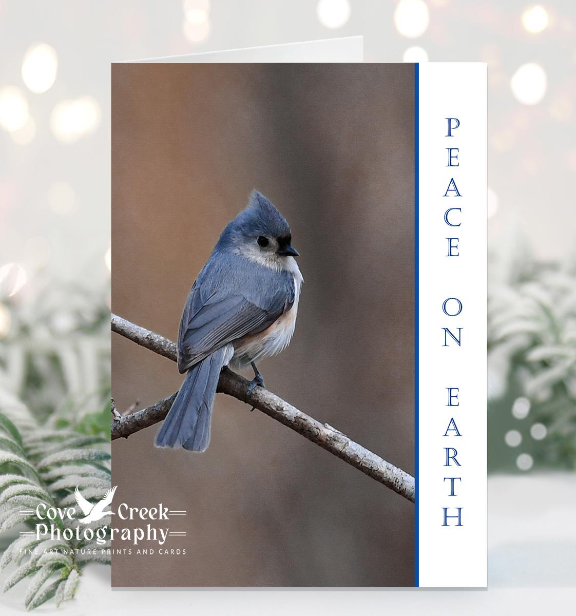 A handmade nature photography Christmas card by photographer T. Spratt and available at Cove Creek Photography.