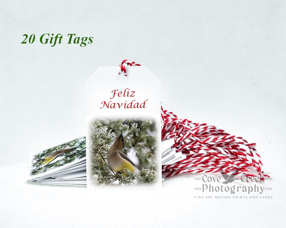 Feliz Navidad gift tags with a bird in icy evergreen branches offered at Cove Creek Photography.