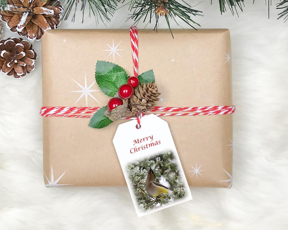 Wildlife photography Christmas gift tags featuring a cedar waxwing available at Cove Creek Photography.