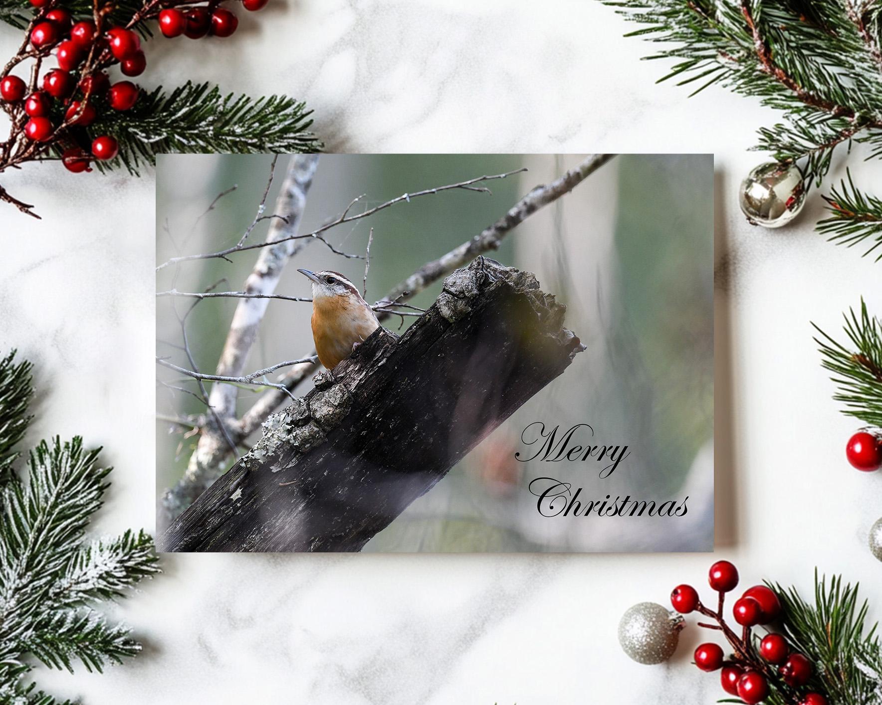 A handmade nature photography Christmas card with a Carolina wren in a forest and Merry Christmas at Cove Creek Photography.