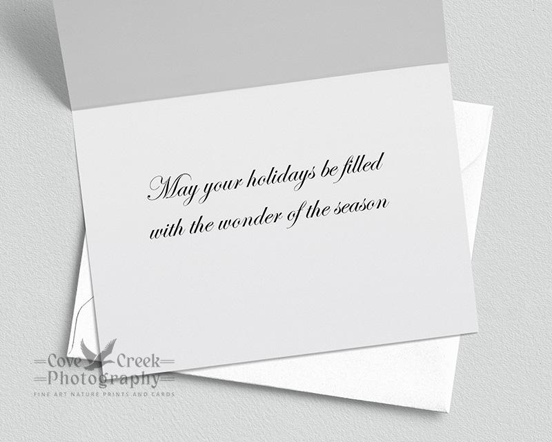 Handmade Nature Inspired Christmas Cards - Season's Greetings
