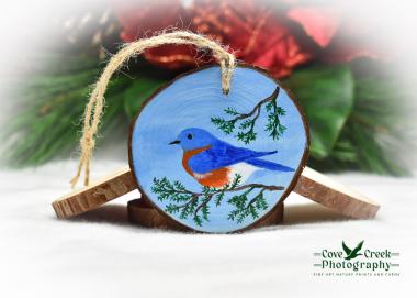 A hand-painted wood slice ornament with an eastern bluebird on a cedar branch.  Ornament is available at Cove Creek Photography.