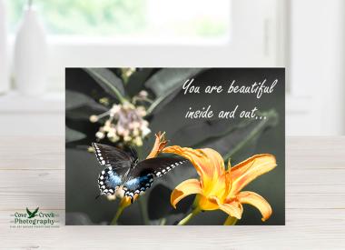 Butterfly Birthday Card