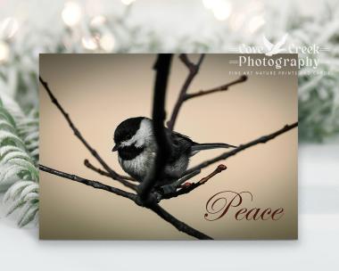 Original wildlife photography nature aesthetic Christmas cards featuring a Carolina chickadee with the message "Peace", and available at Cove Creek Photography.