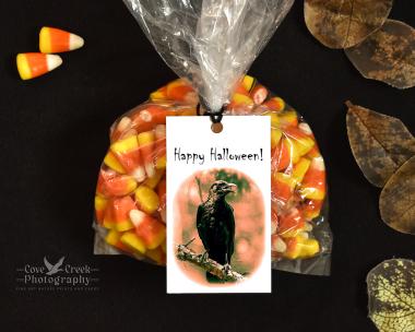 Happy Halloween American crow gift bag tags at Cove Creek Photography.