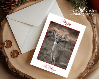 A Christmas card with fine art photography of a white-tailed deer fawn and "Happy Holidays" available at covecreekphotography.com.