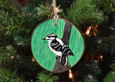 A wood slice with a hand-painted downy woodpecker hanging on a Christmas tree at Cove Creek Photography.