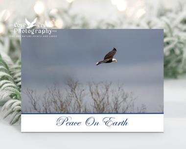 Bald Eagle Christmas cards available at Cove Creek Photography