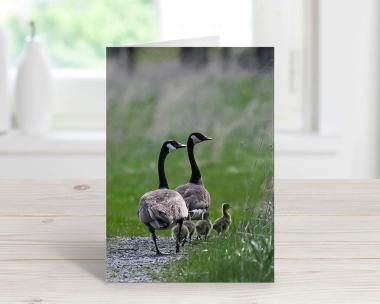 Cove Creek Photography Greeting Card