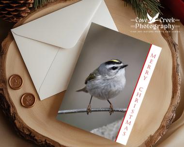 Christmas card with fine art photography of a golden-crowned kinglet and "Merry Christmas" in red font offered exclusively at Cove Creek Photography.