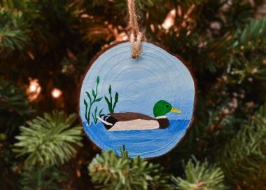 A hand-painted mallard wood slice ornament hanging on a Christmas tree.  The ornament is available for purchase at covecreekphotography.com.