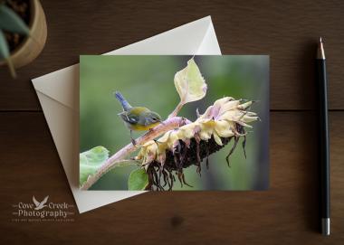 A keepsake greeting card with fine photography of a bird on a sunflower at www.covecreekphotography.com.