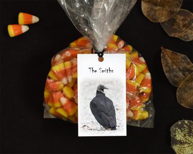 Vulture culture Halloween gift bag tag at Cove Creek Photography.
