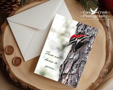 Christmas card with fine art photography of pileated woodpecker nestlings and the phrase "From out house to yours".  Card available at Cove Creek Photography.