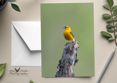A personalized birthday card with photography of a singing prothonotary warbler at covecreekphotography.com