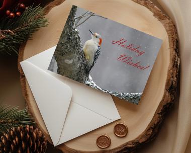 A handmade nature photography Christmas card with a female red-bellied woodpecker in the snow and the greeting "Holiday Wishes!" at covecreekphotography.com.