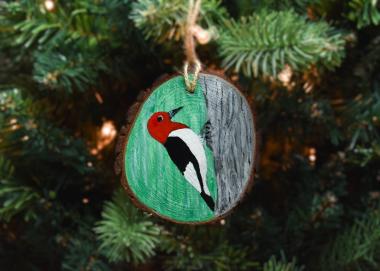 A hand-painted red-headed woodpecker on a wood slice Christmas ornament available for purchase at Cove Creek Photography.