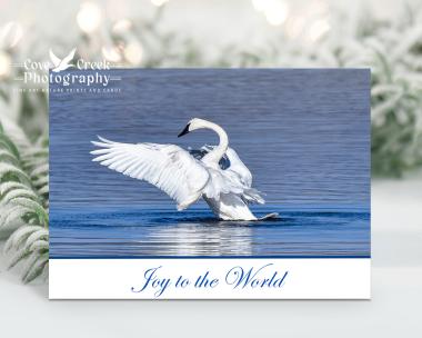 A trumpeter swan on the water graces the front of a Joy to the World boxed Christmas card set that can be found at covecreekphotography.com.