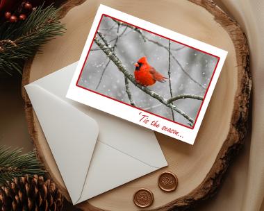 A bright red northern cardinal perched on a tree limb in the snow is on the front of a handmade Christmas card at covecreekphotography.com.