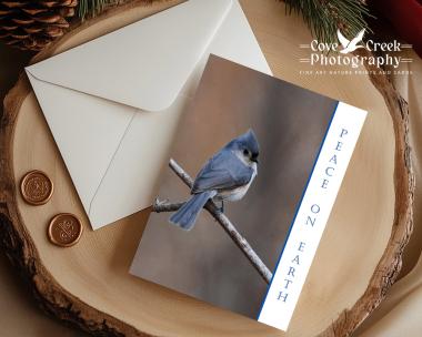 Fine art photography of a tufted titmouse in winter on a Christmas card with "Peace on Earth" available at Cove Creek Photography.