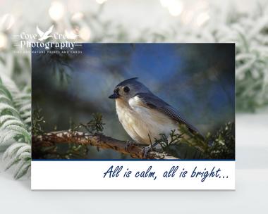 A peaceful photo of a tufted titmouse at dusk on a Christmas card that says "all is calm".  The boxed set of holiday cards is available at Cove Creek Photography.