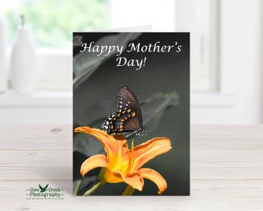 Butterfly Mother's Day Card