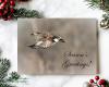 A handmade nature photography "Season's Greetings" Christmas card featuring a gadwall in flight available at covecreekphotography.com.